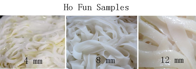 Ho Fun Samples