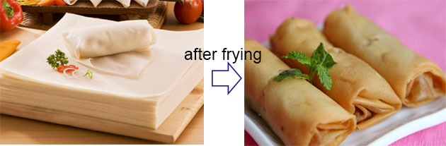 Chinese Spring Roll
